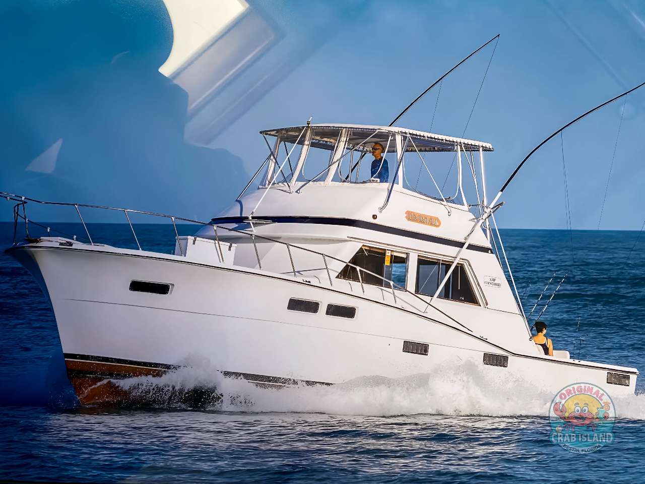 compressed-IMG-0180-scaled