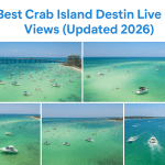 5 Best Crab Island Destin Live Cam Views (Updated 2026)