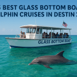 5 Best Glass Bottom Boat Dolphin Cruises In Destin (2026)