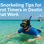 5 Snorkeling Tips for First Timers in Destin That Work