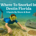 Where To Snorkel In Destin Florida: 5 Spots By Shore & Boat