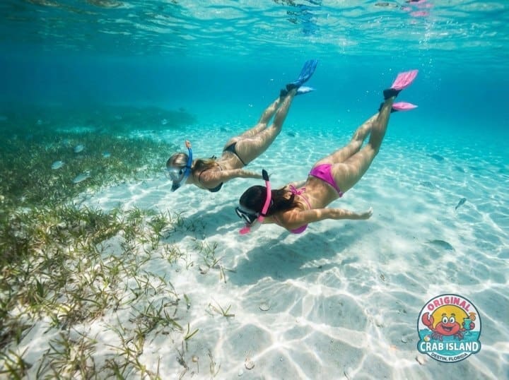 Crab Island and Destin snorkeling
