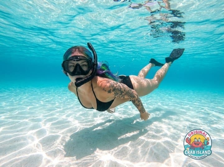 Crab Island Snorkeling Tours
